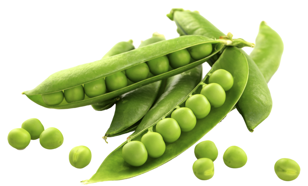 iQ FOOD CO. // peas_2